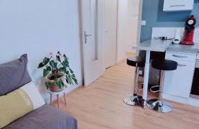 T1 bis Dijon - Foto 1