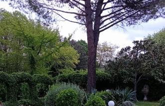 I Gelsi di Colombata Locazione turistica breve in campagna - Foto 46