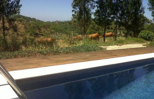 Courela do Salgueiro - Foto 28