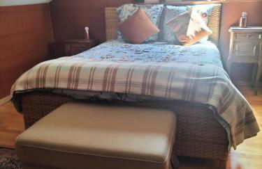 Les Chanterelles La souris des champs - Foto 26