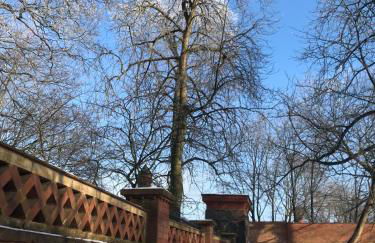 Ferienwohnung Kamrath - Photo 17