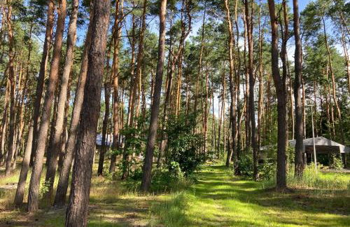 Góra Spokoju Osada klimatyczna-leśna - Foto 20