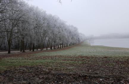 Les Carrés - Foto 52