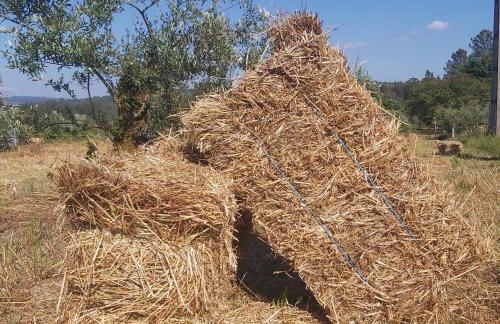 Quinta JR - Casa de campo - Foto 33