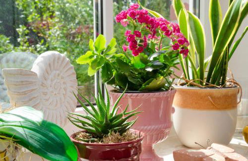 Ferienwohnung Anni, 65325 - Foto 17