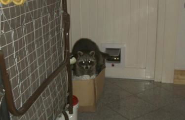 Erika's Haus in der Sonne - Foto 5