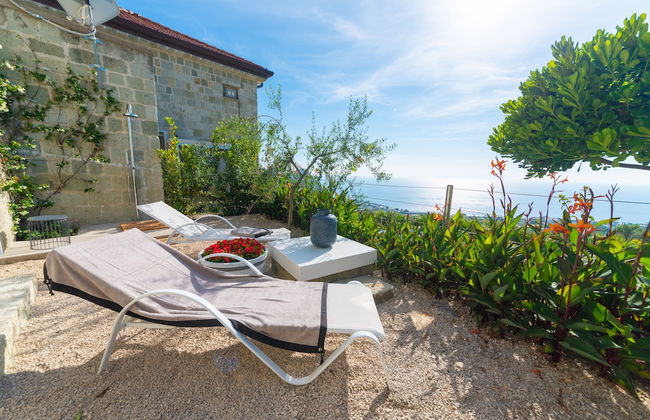 Tenuta C'est la Vie - Foto 22