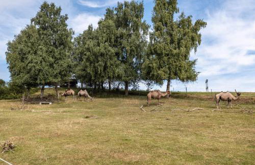 Ferienwohnung Wilder Mann - Foto 24