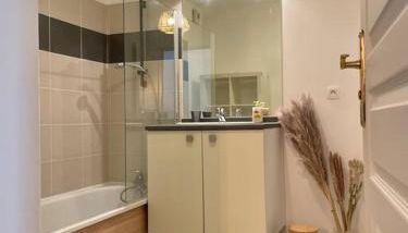 L'Ovalie Appartement T2 CLIMATISÉ et JARDIN - Foto 5