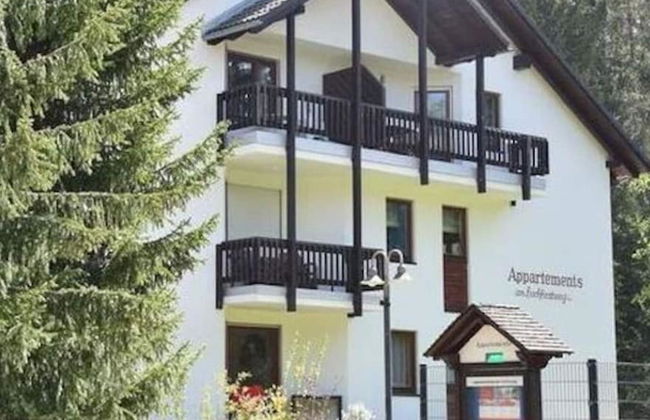 Huis Hochfirst Appartement 9 - Foto 19