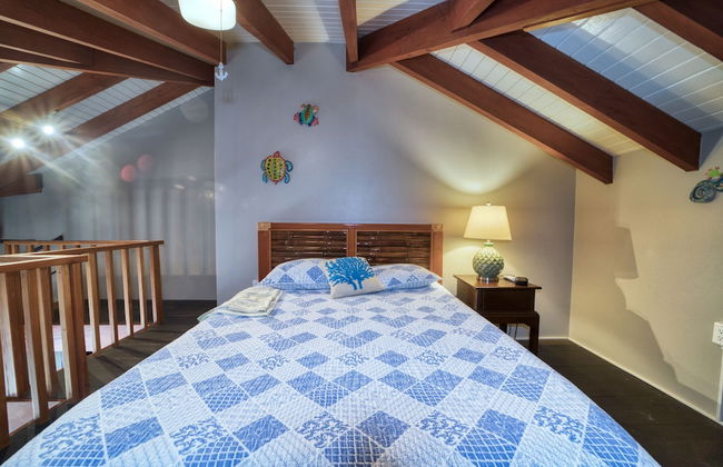 Marazul Belize - Foto 33