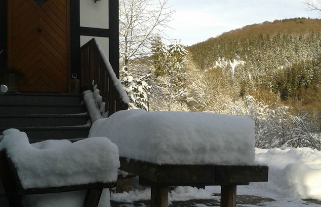 Pension & Ferienwohnung Schweinsberg - Foto 38