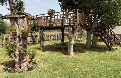 Campagna D'aMare - Foto 2