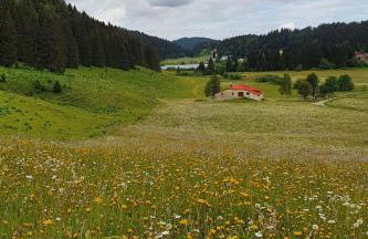 Le Logis de Pimpi - Foto 10