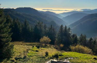 Haus Wiesenquelle, Deluxe-Apartment 'Feld & Berg' - Foto 26