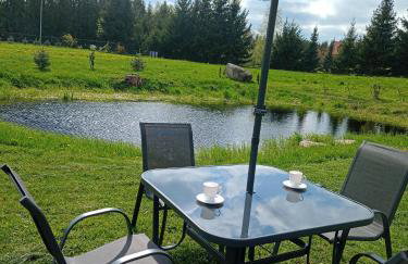 DOM w JESIONACH Brajniki - działka 1 HEKTAR - Photo 10