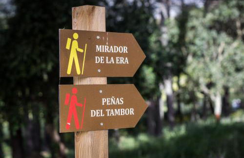 Tambor Del Llano - Foto 28