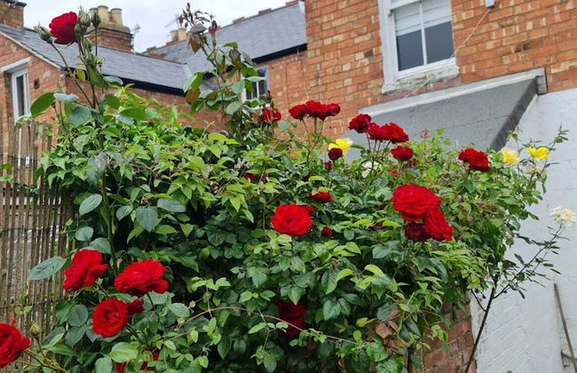 Lunas Cottage - Grove Road Cottages - Foto 29