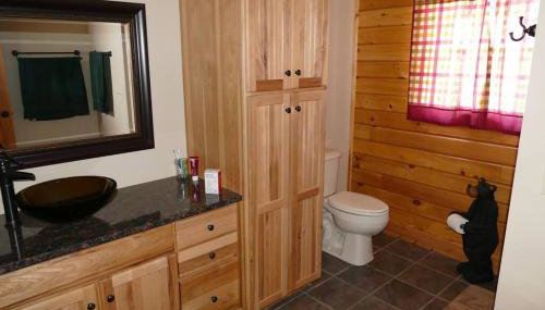 Mountain Maryland! Bear in the Woods - Foto 3