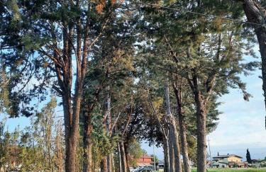 Casale Kintsugi - Foto 15