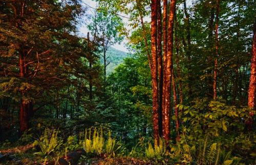 Jamaica Mod A Frame - Foto 36