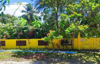 Casa amarela - Foto 16