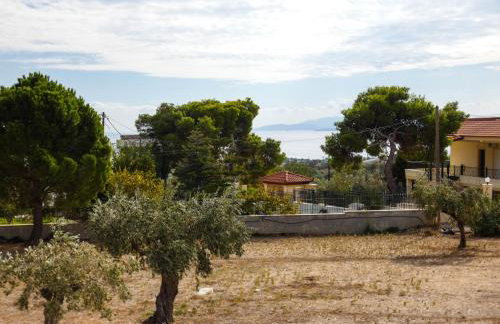 MG Studio Kineta - Foto 24