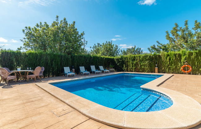 Son Catlar - Photo 21