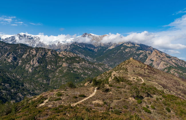 1 bedroom Apartment in Corte - Photo 22