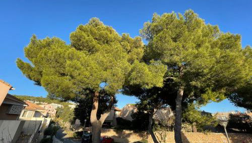 Appartement 2 pièces avec climatisation, terrasse et parking près des plages - FR-1-338-546 - Foto 3