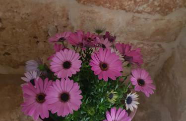 dimore cieli di dante - Foto 12