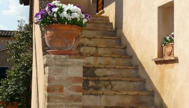 Agriturismo Miralduolo - Foto 5