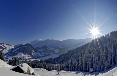 megeve appartement des Crêtets - Foto 26