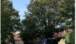 La Grange Dimière - Foto 4