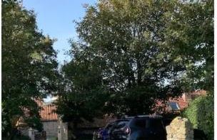 La Grange Dimière - Foto 4