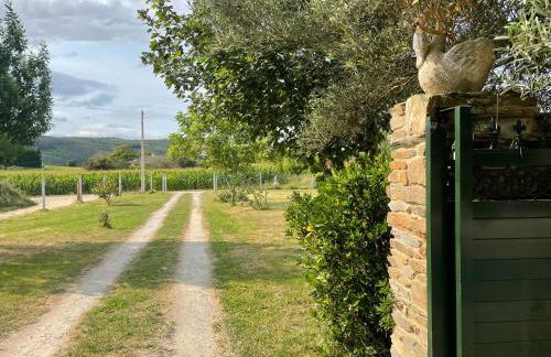 AT El Manzano - Jardín & BBQ - Los Gayoles Rural - Foto 25