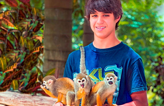 Affenland Safari - Foto 1