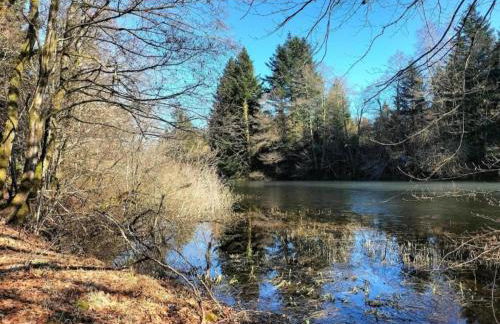 Holiday Home in Vosges with Garden and BBQ - Foto 28