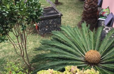 Casa do Poço Funchal - Foto 71