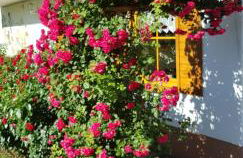 Ferienwohnung Maria - Foto 6