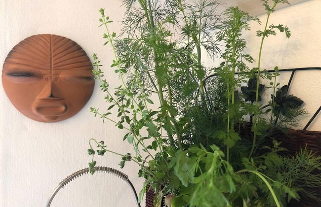 Cosy Cottage Near Hartland Village - Photo 15