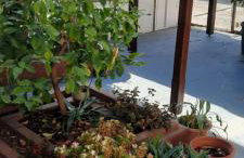 Seaside family Apartment in Paralia Dionisiou - Foto 27