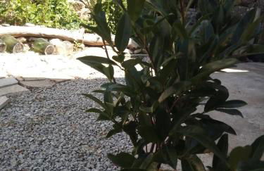 Casinha de Lamares - Foto 3