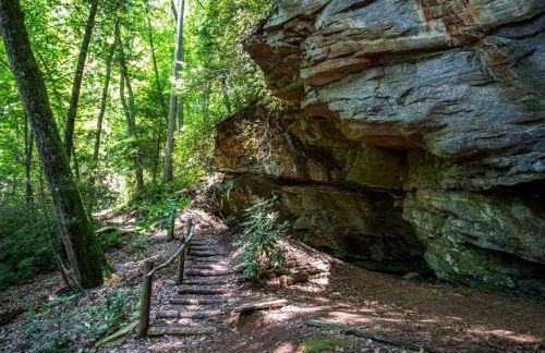 Above the Clouds Log Cabin, Hot Tub & Views! - Photo 39
