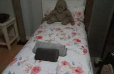 Triplex Deluxe con terrazas al Pirineo y Golf - Foto 39