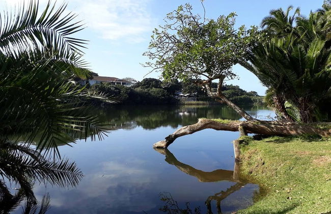 Claridges 303 - Photo 18