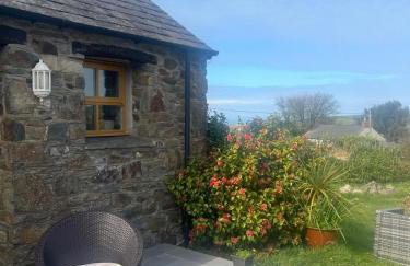 Badger Banc - Foto 4