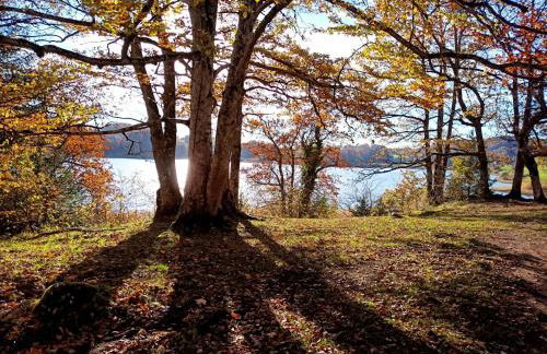Le Repaire du Loup blanc - Foto 38