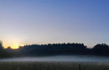 Le Pas du Loup - Photo 16