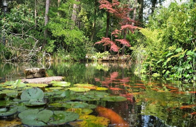 House on Water, Surrounded by Nature - Photo 24